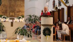 Rede Plattner