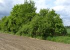 Hecke