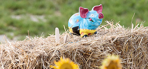 Wirtschaftsförderung in Arnstorf